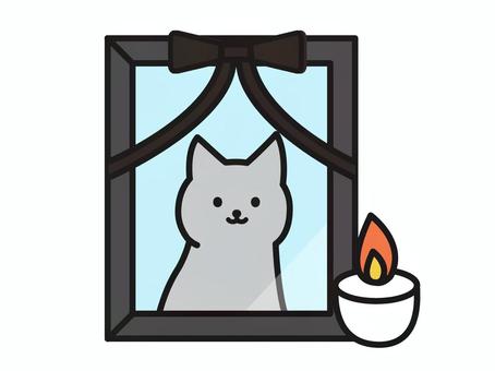 Illustration of a portrait of a gray cat and a candle, JPG and PNG Illustration of a portrait of a gray cat and a candle, portrait of a deceased person, cat, a pet, JPG and PNG