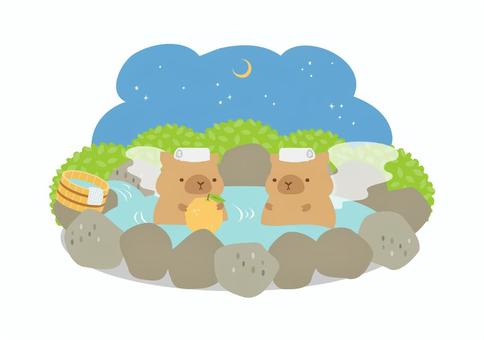ゆずを持って温泉の入る可愛いカピバラたち ゆず,食べ物,温泉,冬至,動物,カピバラ,冬,ゆず湯,桶,お風呂のイラスト素材