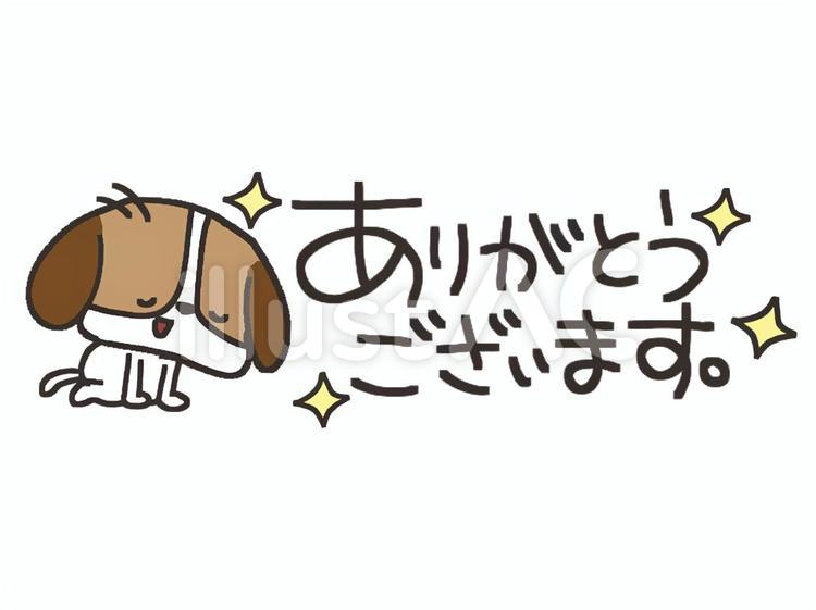感謝するビーグル犬　ありがとう ビーグル犬,感謝,ありがとうのイラスト素材