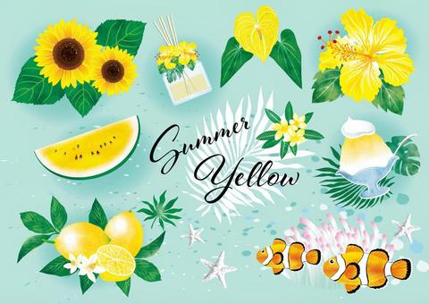Illustration, summer, yellow, sunflower, 