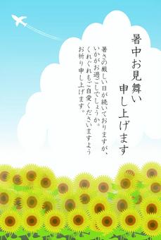 暑中お見舞い申し上げます 暑中見舞い,はがき,入道雲,夏,飛行機,飛行機雲,ひまわり,ひまわり畑,ポストカードのイラスト素材