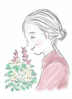 草花とおばあちゃん 草花,おばあちゃん,おばあさん,お年寄り,祖母,花,植物,自然,植木,人のイラスト素材
