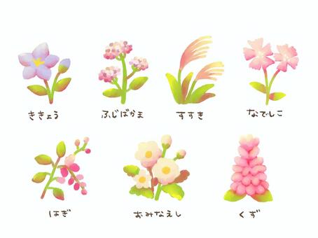 秋の七草水彩イラスト 秋の七草,秋,花,草,水彩,絵の具,カラフル,オリジナル,ゆるい,ほのぼののイラスト素材