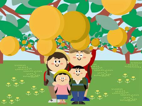 Illustration, JPG, PNG and AI Illustration, pear hunting, leisure, family, JPG, PNG and AI