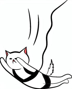 にゃんこバンジージャンプ