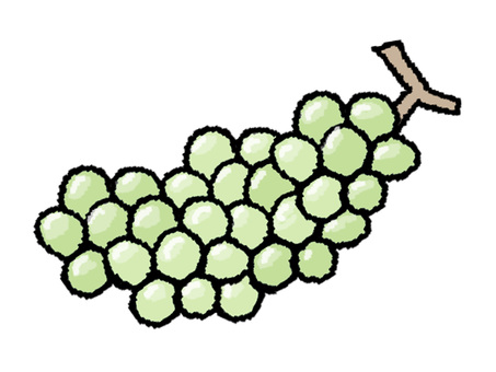葡萄 葡萄,栽培,食べ物,pop調,手描き,挿絵,ワンポイント,素材,商用可,無料のイラスト素材