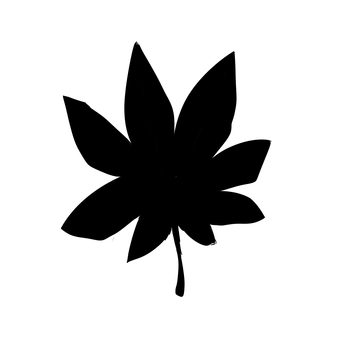 もみじのシルエット もみじ,シルエット,影,シンプル,黒色のイラスト素材