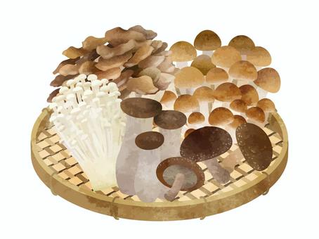 きのこ5種とざる きのこ,ぶなしめじ,ざる,まいたけ,えのき,エリンギ,しいたけ,食材,水彩,イラストのイラスト素材