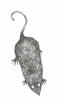 【ホラー素材】地を這うネズミ 鼠,生き物,シルエット,ホラー,手描き,リアル,モノクロ,挿絵,白バック,線画のイラスト素材