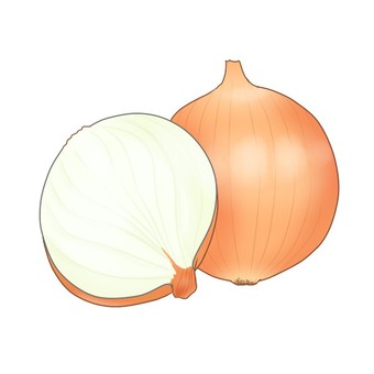 onion, , JPG and PNG