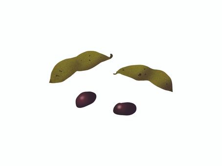 黒豆 黒豆,枝豆,北海道,群馬県,皮,黒,甘味,和食,お正月,おせちのイラスト素材