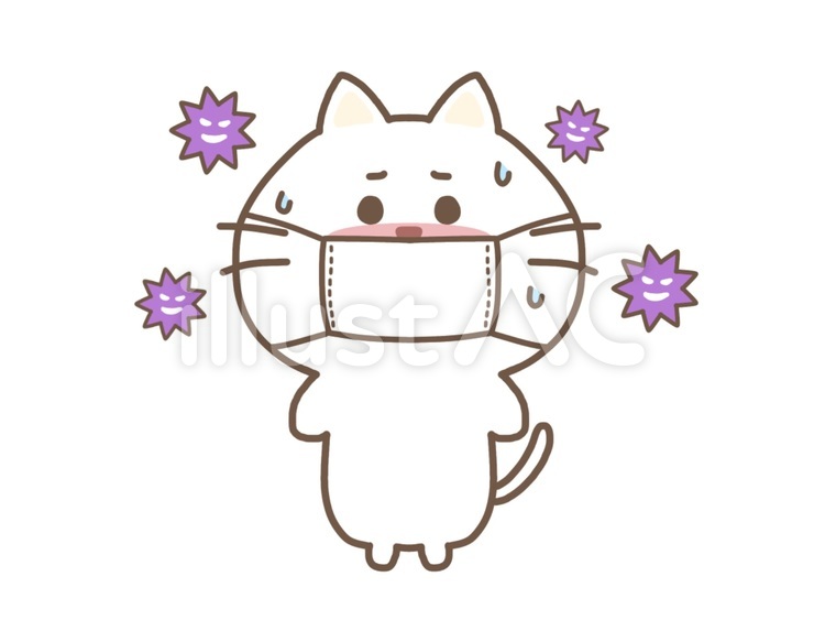 風邪をひいたねこ/ウイルス 猫,白猫,風邪のイラスト素材