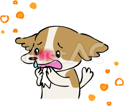 花粉症で鼻水が止まらない犬