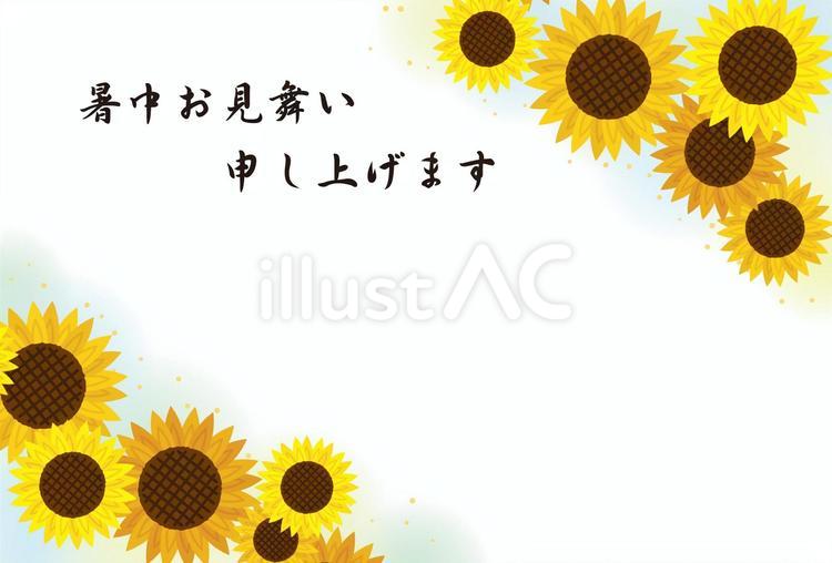 ひまわりの暑中見舞い葉書横4 ひまわり,暑中見舞い,風物詩のイラスト素材