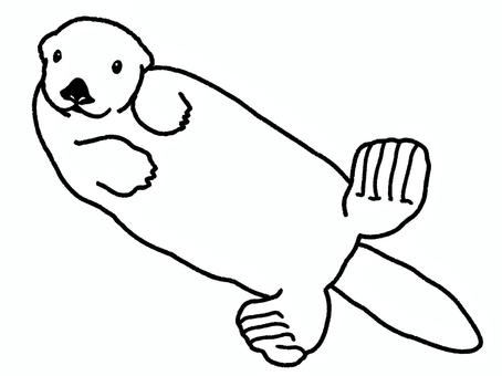 ラッコ ラッコ ラッコ,海,水族館,哺乳類,生き物,塗り絵のイラスト素材