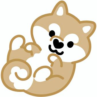 ハート鼻の柴犬（ごろん）1 柴犬,犬,動物,ハート,鼻,ゴロン,寝転がる,仰向け,シンプル,かわいいのイラスト素材