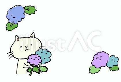 猫紫陽花 メッセージカード