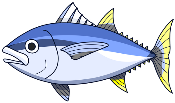 マグロ 鮪,魚類,動物,生き物,水生生物,海洋生物,海水魚,ツナ,赤身,回遊魚のイラスト素材
