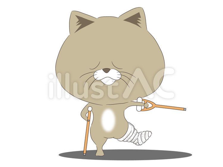 骨折してしまった猫 野良猫,ペット,猫のイラスト素材