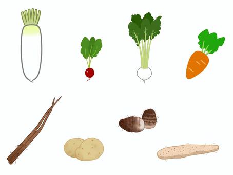 根菜類の野菜セット 大根,ラディッシュ,二十日大根,ハツカダイコン,カブ,蕪,ニンジン,人参,ゴボウ,ジャガイモのイラスト素材