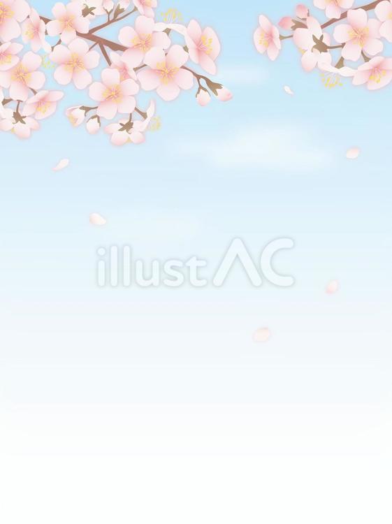 美しい桜と青空の背景イラスト縦型02 桜,背景,青空のイラスト素材