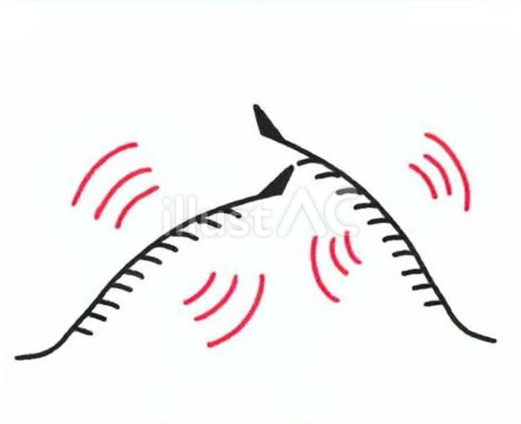 コオロギの羽の鳴り方 コオロギ,羽,模型のイラスト素材