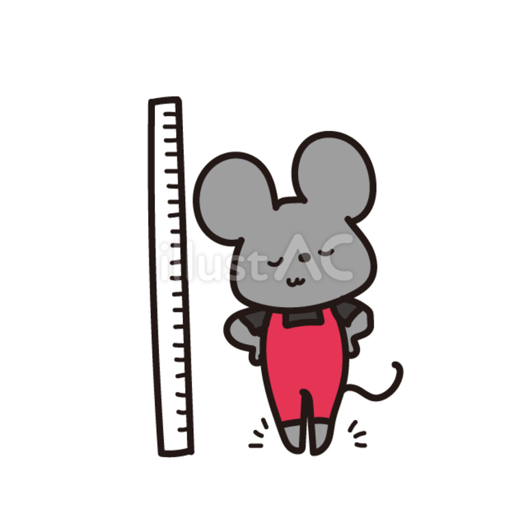 12月動物（身体検査の日、ネズミ、身長測定、ものさし） 12月,動物,ネズミのイラスト素材