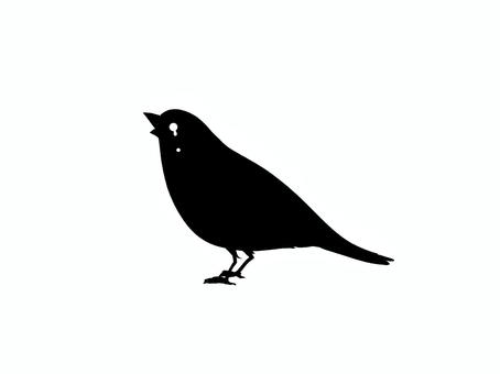 鳥2 鳥2 鳥,小鳥,シルエット,泣く,鳴く,止まる,立つのイラスト素材