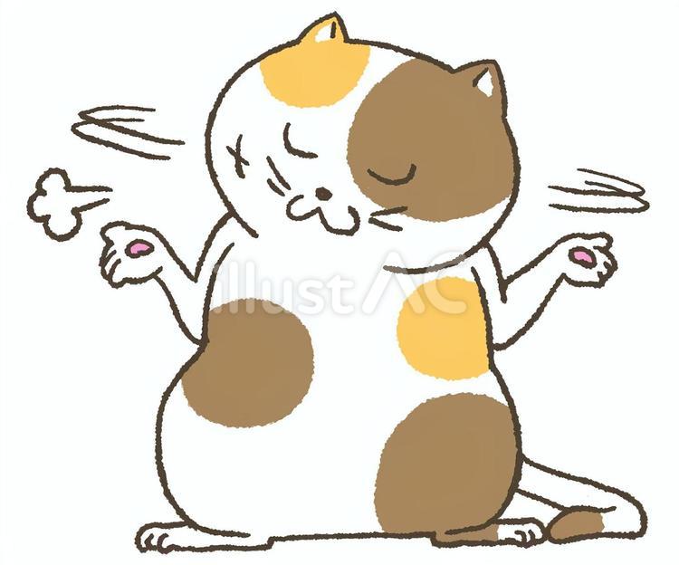 呆れる　猫 コミカル,かわいい,挿絵のイラスト素材