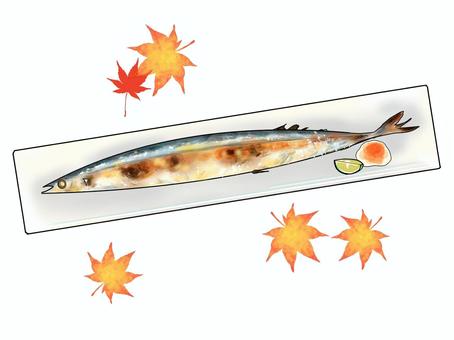 秋刀魚 秋刀魚,焼き魚,カボス,大根おろし,紅葉,秋のイラスト素材