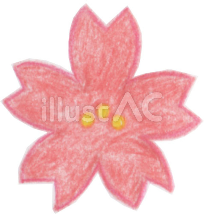 桜2 桜,アナログのイラスト素材