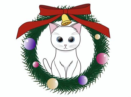 Christmas wreath and white cat, , JPG and PNG