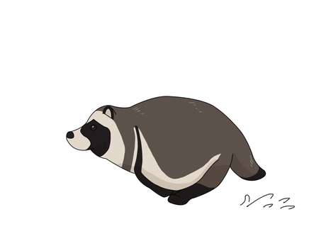タヌキ（走る） タヌキ,動物,日本,夜行性,走るのイラスト素材