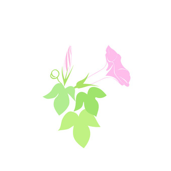 牽牛花粉紅, JPG 和 PNG 牽牛花粉紅, 喇叭花, 夏天, JPG 和 PNG