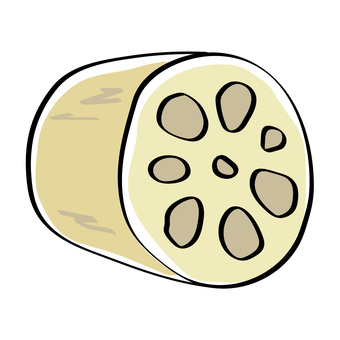 れんこん_2 れんこん,秋,蓮,茎,秋野菜,根菜のイラスト素材