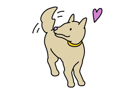 ご主人を見つめる犬さん（茶） 見つめる,好き,ハート,しっぽ,振る,かわいい,シンプル,手描き,線画,犬のイラスト素材