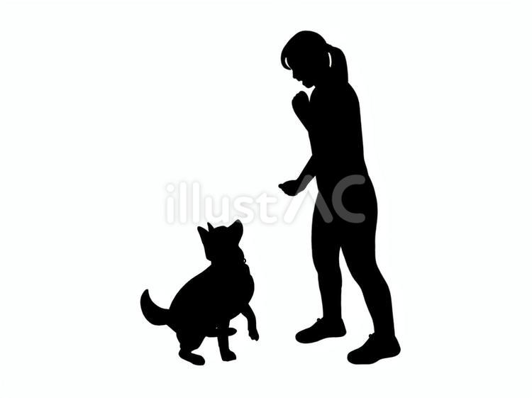 犬のしつけ 犬,しつけ,トレーニングのイラスト素材
