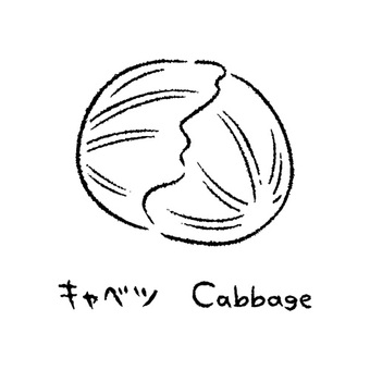手描きのキャベツ2_名称入_白黒 キャベツ,野菜,アイコン,食べ物,食材,健康,シンプル,イラスト,料理,農業のイラスト素材