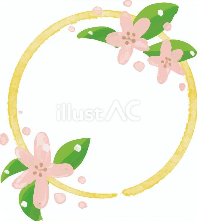 水彩画さくらフレーム（イエロー） 水彩画,桜,丸のイラスト素材