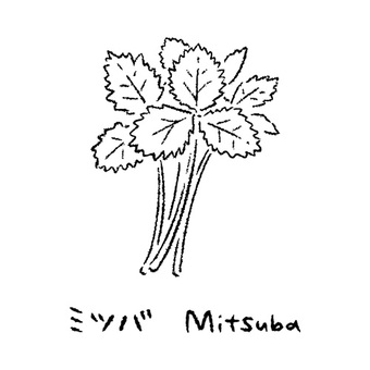 手描きのみつば2_名称入_白黒 ミツバ,みつば,三つ葉,野菜,アイコン,食べ物,シンプル,食材,健康,料理のイラスト素材