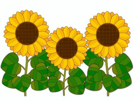 横に３本並んだシンプルなひまわり 向日葵,アイコン,シンプル,7月,8月,花,植物,葉,葉っぱ,黄色のイラスト素材