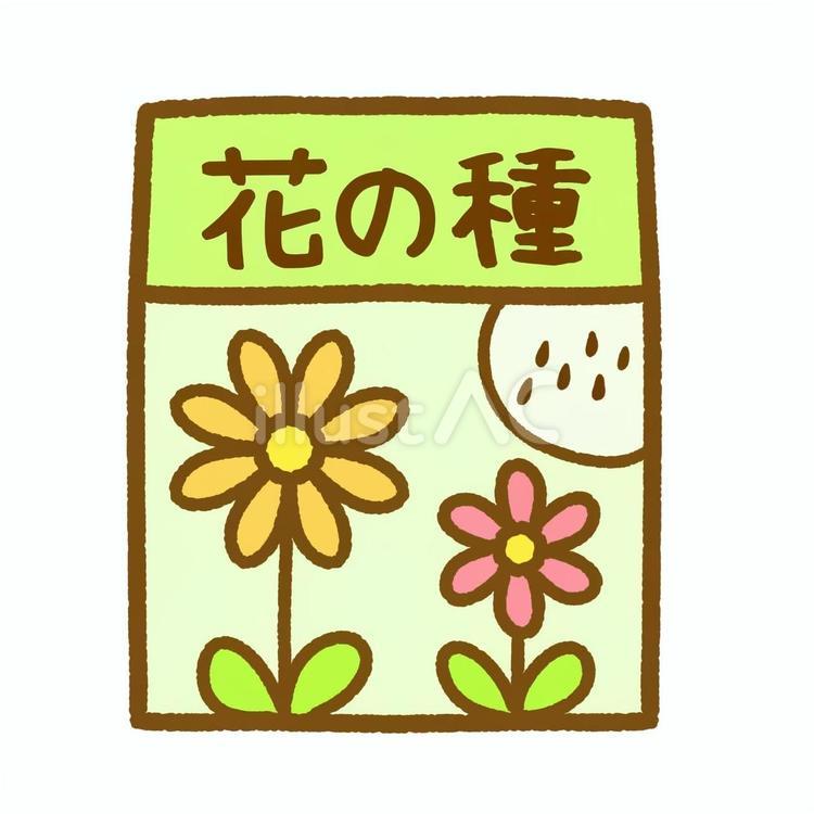 花の種の袋 花,花の種,種のイラスト素材