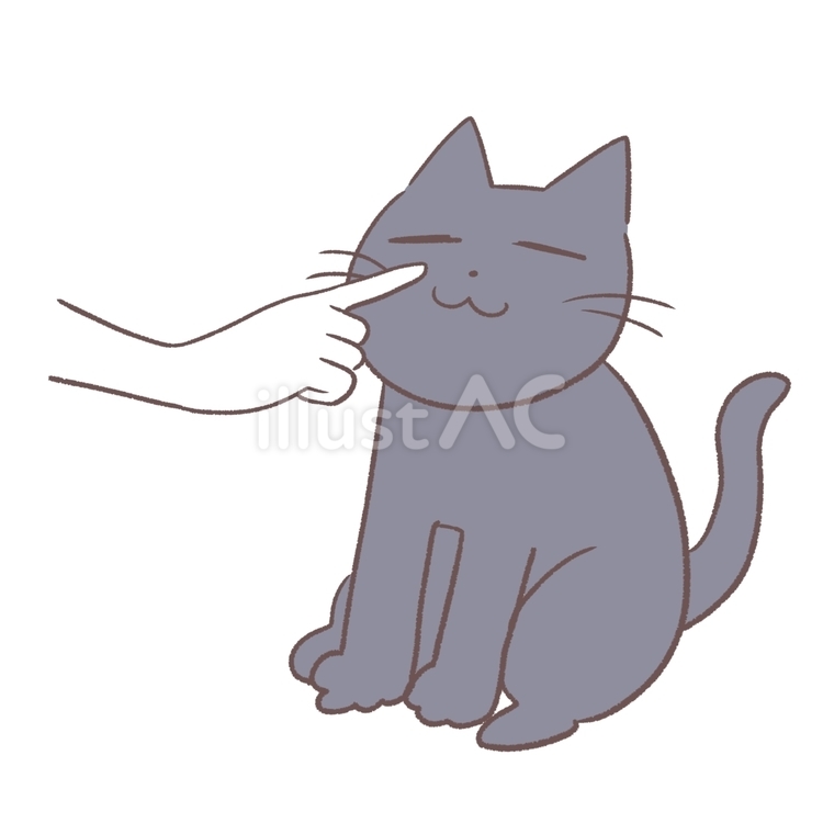 手の匂いを嗅ぐ猫 猫,かわいい,ゆるいのイラスト素材