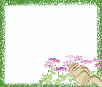 Flower and squirrel frame, a squirrel, astragalus, flower, JPG and PNG