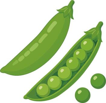 さや入りえんどう豆 えんどう,豆,野菜,莢,グリーン,食材,春,旬,収穫,農産物のイラスト素材