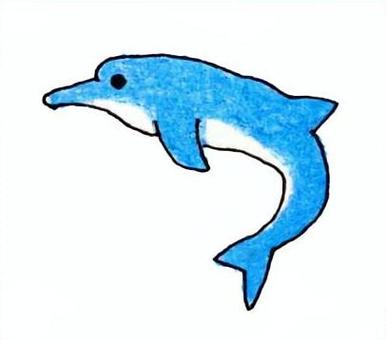 手描きのイルカイラスト