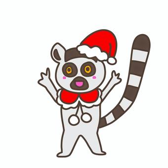 クリスマス ワオキツネザル