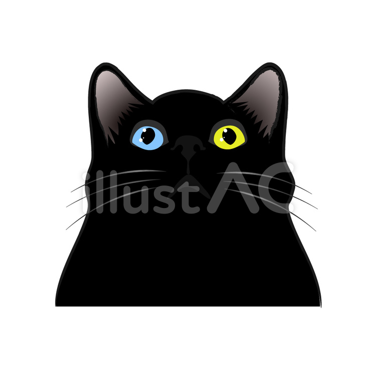 黒い猫 猫,黒,動物のイラスト素材