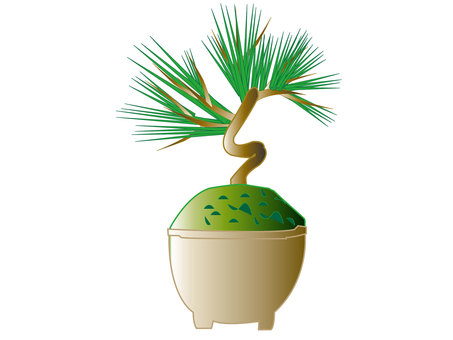 盆栽　松３ 盆栽,松,鑑賞,植木,植物,緑,イラストのイラスト素材