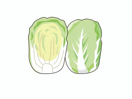 Illustration, chinese cabbage, vegetables, winter, 